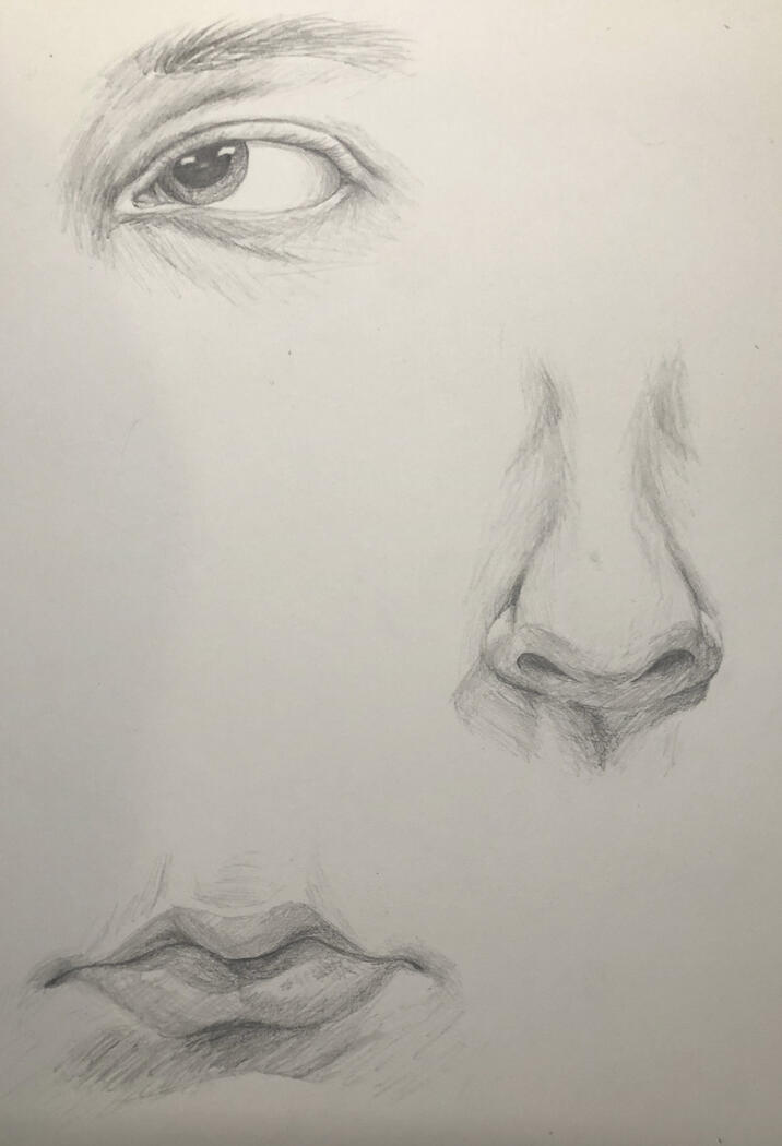 Facial Features Study ✦ 13" x 10", Pencil