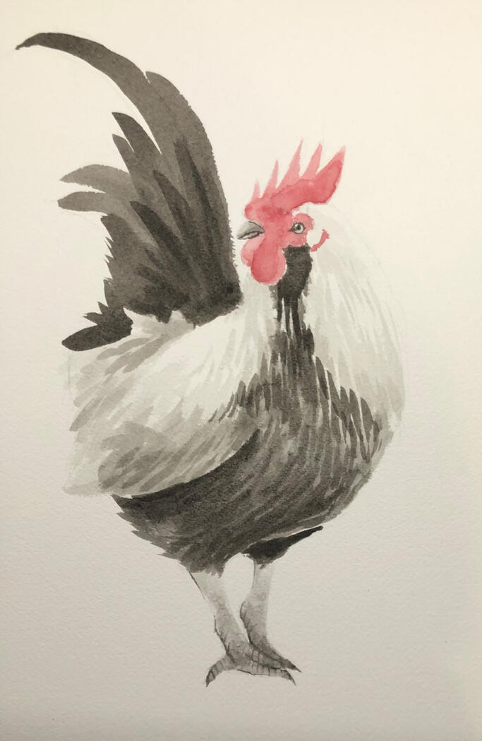 Ink Practice ✦ 13" x 10", India Inks